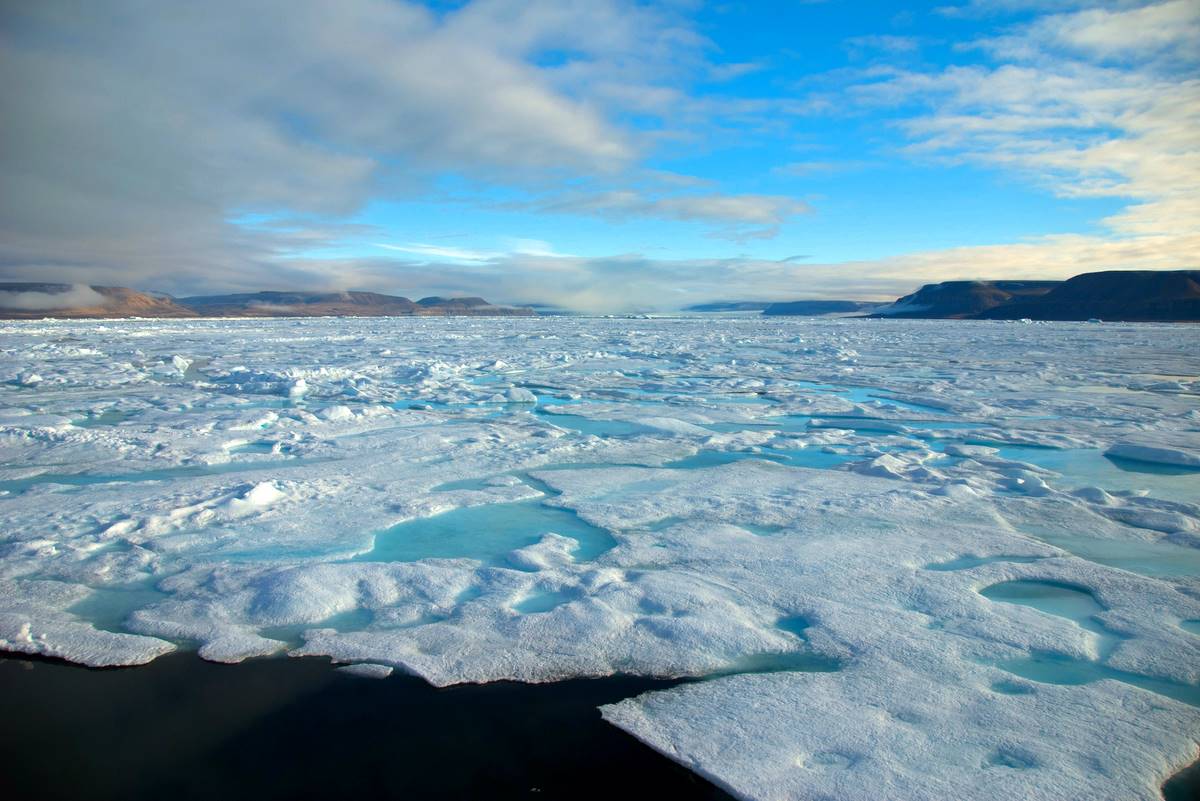 Paquete de hielo de Boris Wise