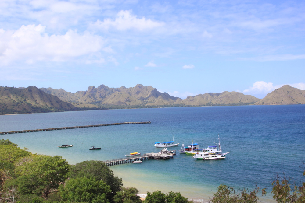 Kun dagsbesøg er tilladt til Komodo Island, og alle turister ankommer med båd, enten på live-aboard eller på dagsture ud af Labuan Bajo på Flores. Udsigt over anløbsbroen og barske sav 