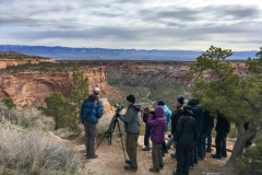 Rockjumper&#39;s Colorado-vogelreisgroep 2019 vogelt naar de top van een kloof bij het Colorado National Monument