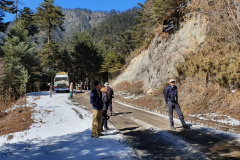 El grupo del tour de observación de aves de Bután 2020 de Rockjumper observa aves en la carretera