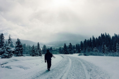 Een lid van de Colorado-vogelreisgroep van Rockjumper 2019 trekt het winterlandschap in