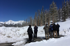 El grupo de gira de observación de aves de Colorado de Rockjumper en 2019 en las Montañas Rocosas en busca del pájaro carpintero americano de tres dedos