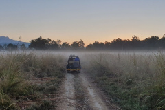 El grupo del tour de observación de aves de India 2019 de Rockjumper explora el Parque Nacional Jim Corbett temprano en la mañana