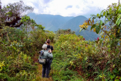 Rockjumpers 2020 Colombia fugletur gruppe, der vandrer langs højderyggen i Las Tangaras Reserve