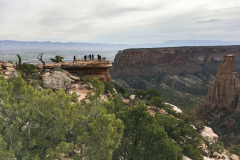 Le groupe d&#39;observation des oiseaux du Colorado 2019 de Rockjumper recherche Canyon Wren dans le Colorado National Monument