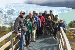 Groupe d&#39;observation des oiseaux du sud de la Patagonie de Rockjumper au glacier Moreno dans le parc national Los Glaciares
