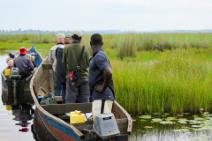 El grupo de observación de aves de Uganda de Rockjumper en el agua de Mabamba mirando un picozapato