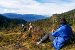 Groupe d&#39;observation des oiseaux en Papouasie occidentale 2018 de Rockjumper surplombant la vallée d&#39;Ibele