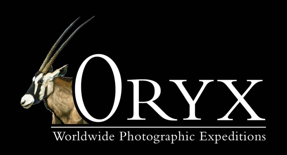 Oryx – Worldwide Photographic Expeditions Launch