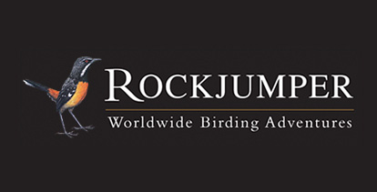 Rockjumper sponsors Southern Bald Ibis monitoring programme