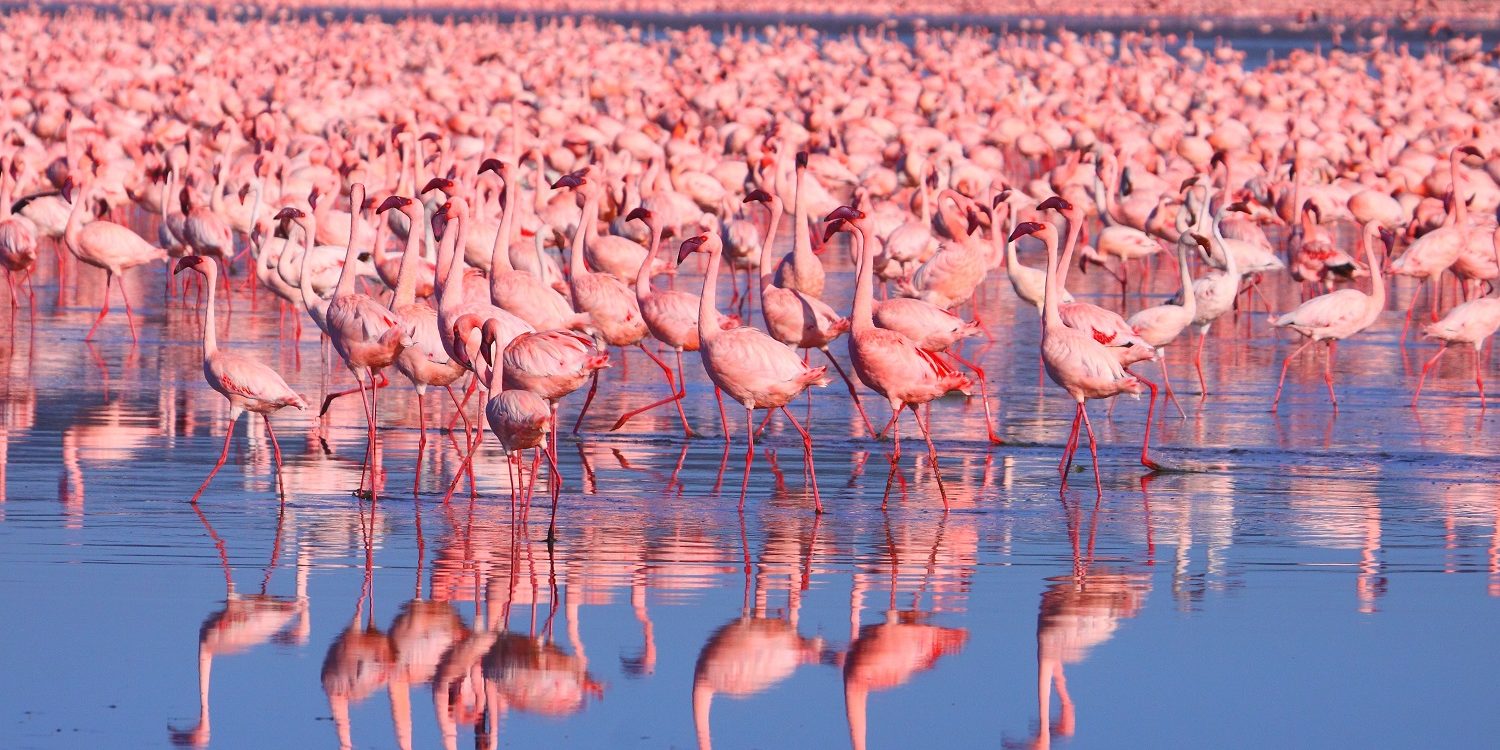 アフリカの地理: 東の約束