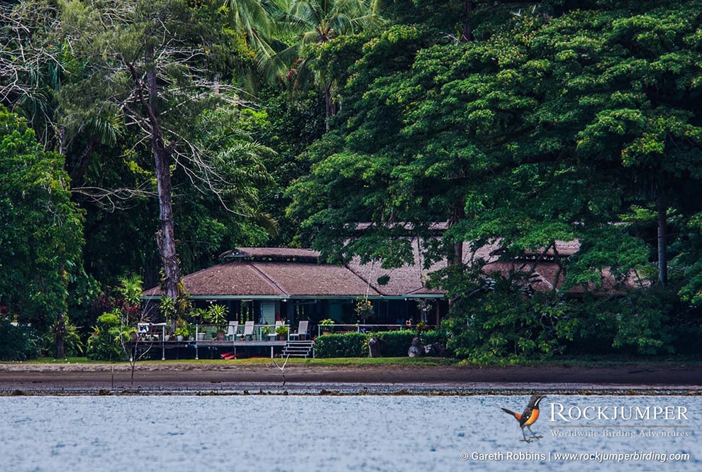 Papouasie-Nouvelle-Guinée – Observation des oiseaux au paradis