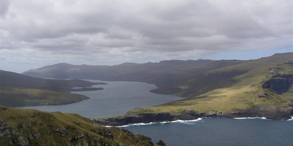 5 grunde til at besøge The Forgotten Islands [#2: Auckland Islands Carnley Harbour]