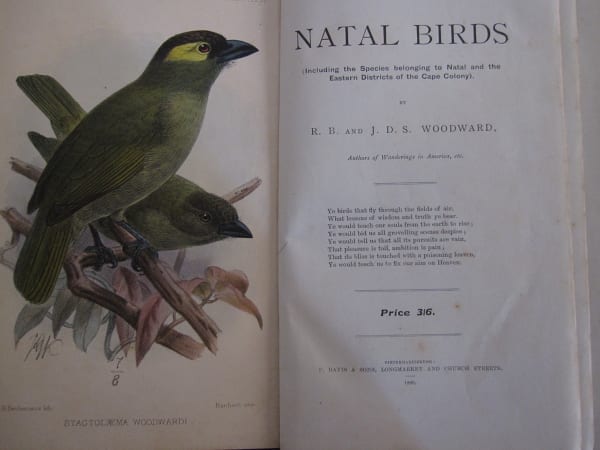 ウッドワード兄弟の『Natal Birds』の裏表紙。 1899 年に出版されたこの本は、この地域の鳥に関する最初の本で、挿絵にはゴエの森で兄弟たちが発見した種であるウッドワードゴシキドリが描かれています。 