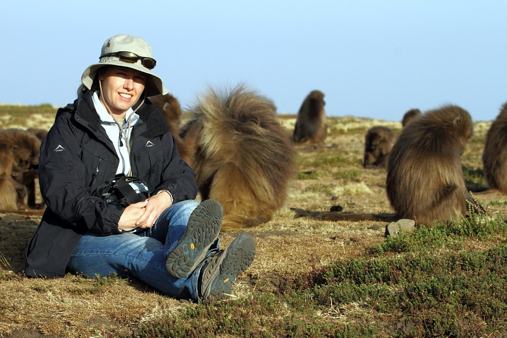 Spendera tid med Geladas