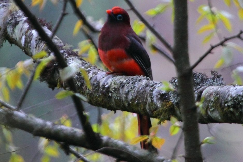 Hoogtepunten van de tour – Bhutan