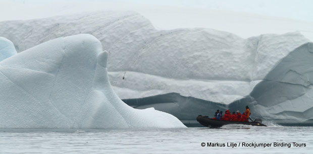 Les icebergs constituent une attraction supplémentaire lors des croisières vers les régions polaires.