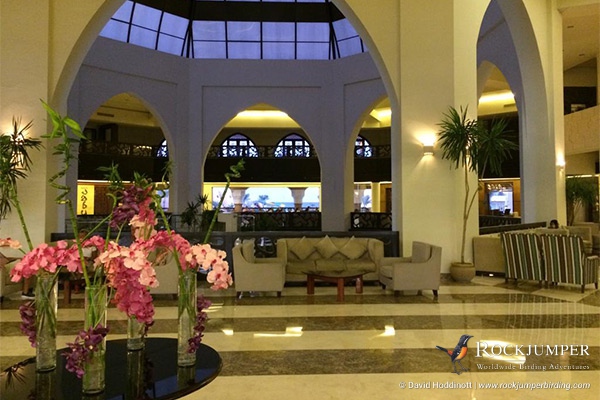 Jasmine Palace Hotel in Hurghada