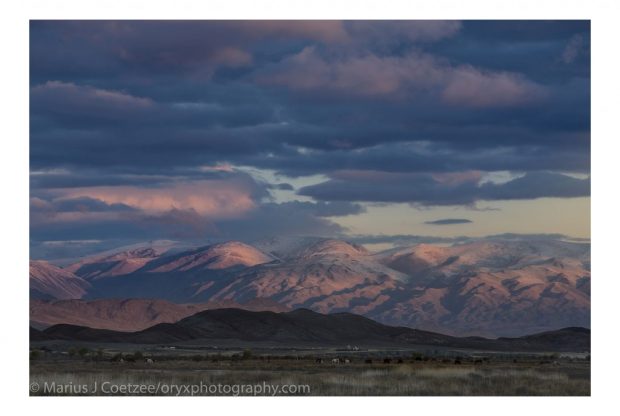 El paisaje en Mongolia es impresionante, con paisajes hermosos, a veces hasta donde alcanza la vista. El guía de Oryx Photography Expeditions, Marius Coatzee, capturó esta imagen en nuestro recorrido fotográfico por Mongolia. 