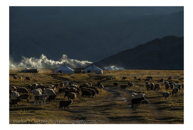 Les vastes steppes ouvertes de Mongolie offrent des paysages époustouflants. (Photo © Marius Coetzee) 