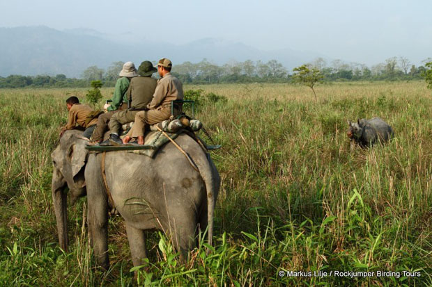 One of our less comfortable modes of transport.