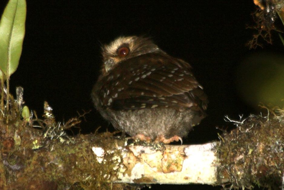 Turens höjdpunkter – Peru