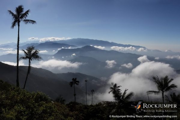 Santa Marta at Dawn by Tim Boucher