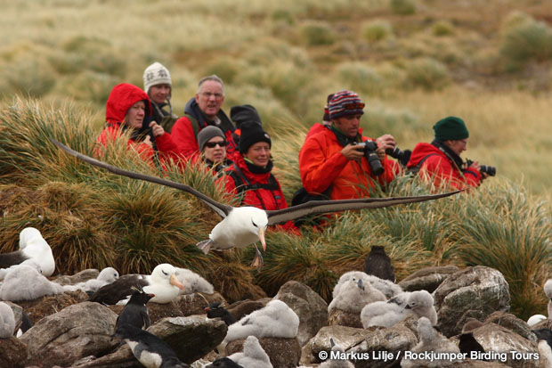 Cómo elegir un tour de observación de aves por Markus Lilje