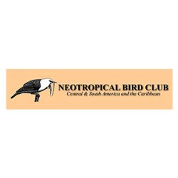 aangesloten-neotropische-vogelclub