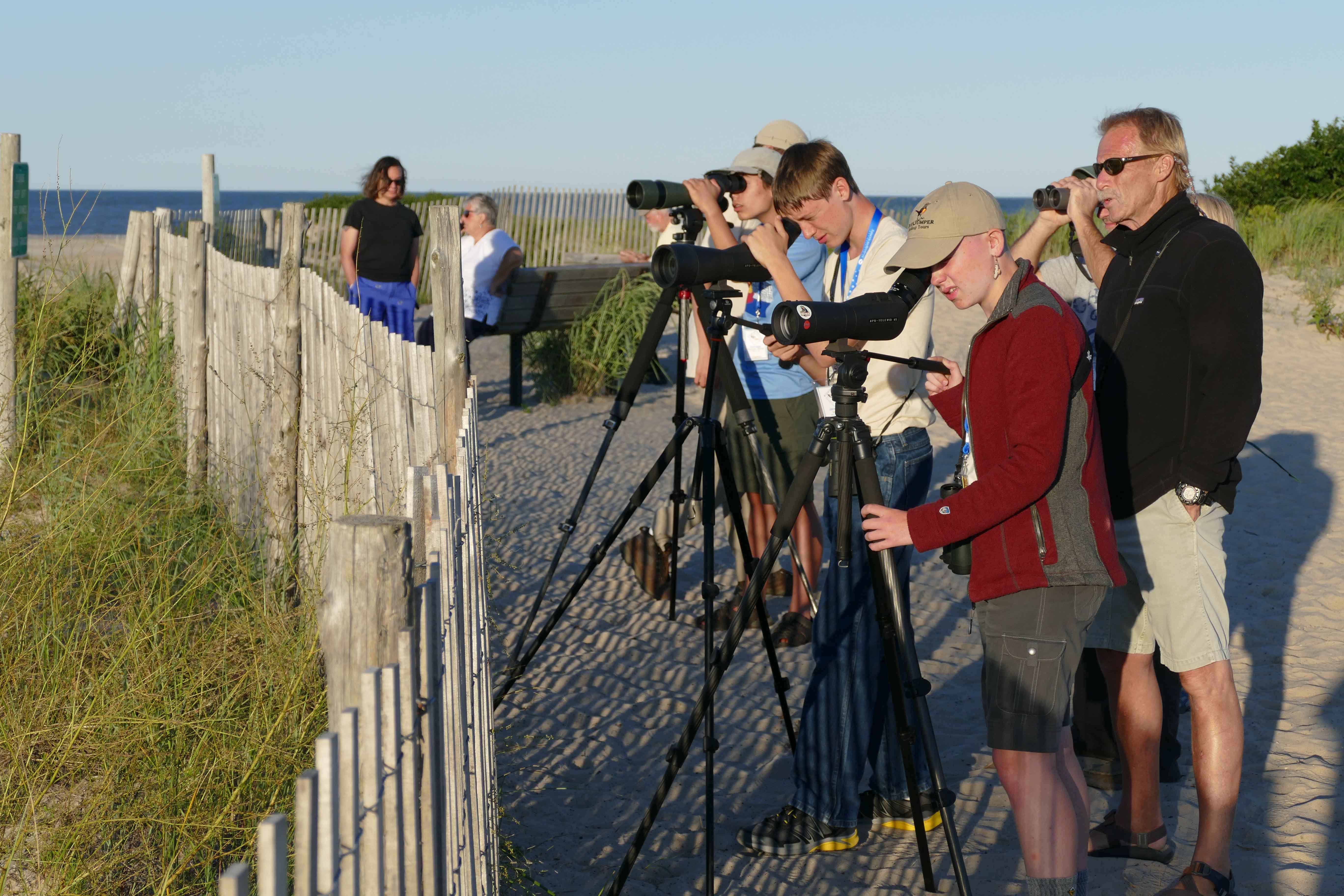 Observación de aves para jóvenes: ABA y Rockjumper en Camp Avocet