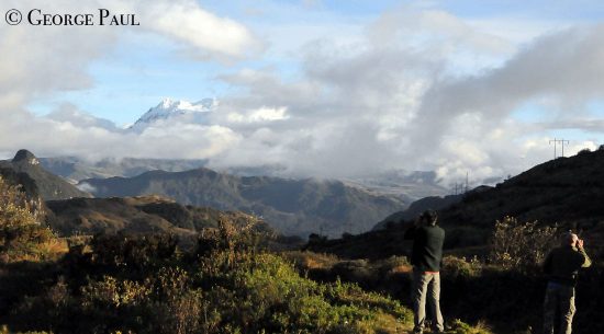 Observation des oiseaux dans les hautes Andes