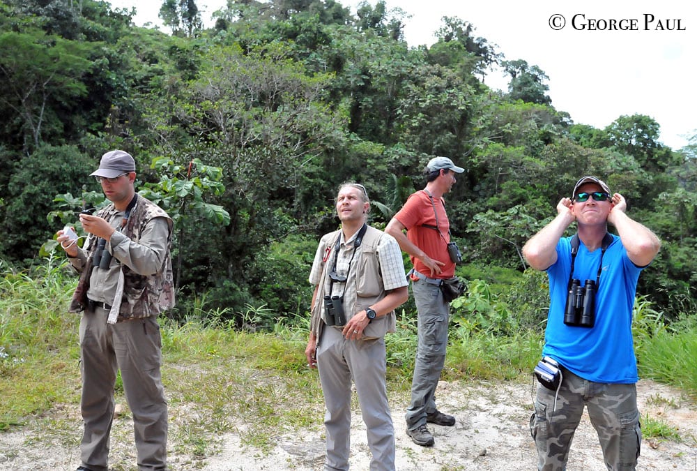 Observación de aves en Ecuador