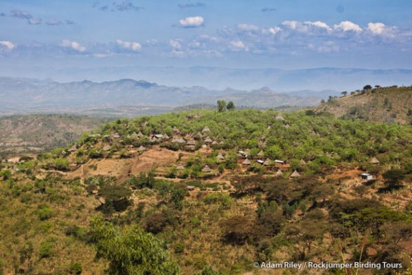 A Konso village perched atop a terraced hill