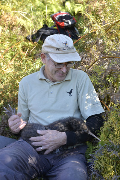 Mød McCaw – Our North Island Brown Kiwi