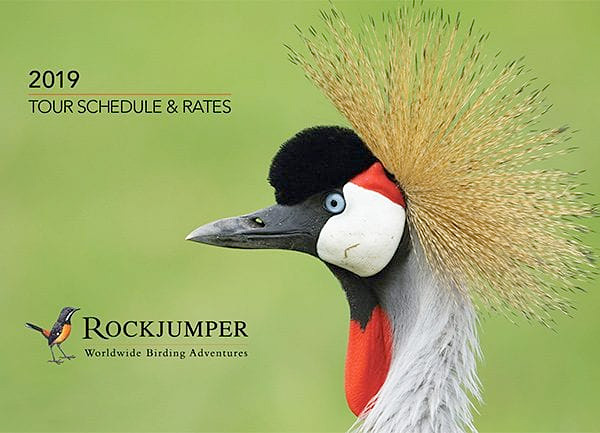 2019 Tour Schedule Rates