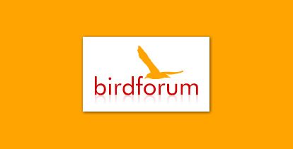 Bird Forum