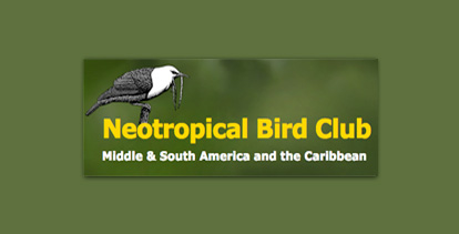 Club de aves neotropicales