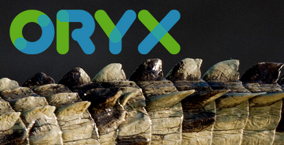 ORYX Wildlife Safaris