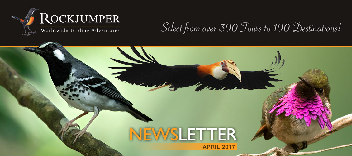 Rockjumper Birding Tours