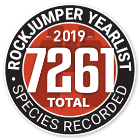rockjumper birding tours australia footer-logo