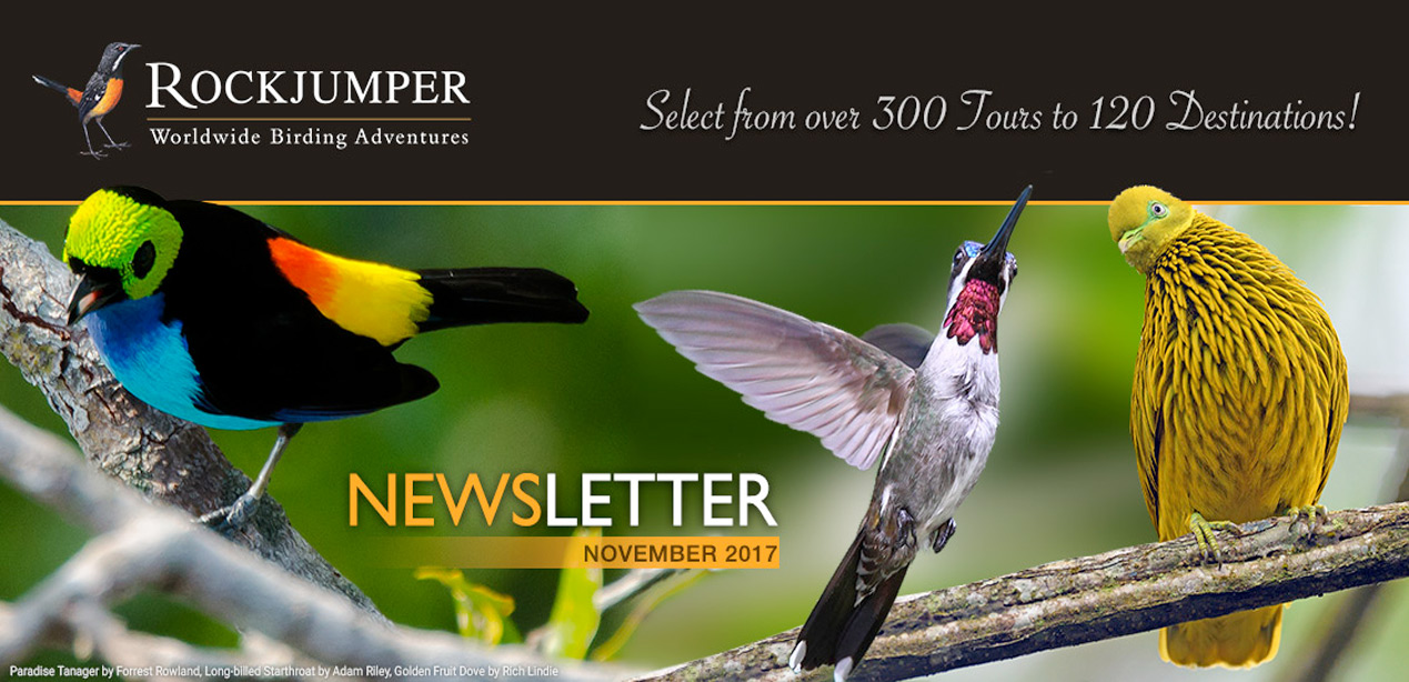 Rockjumper Birding Tours