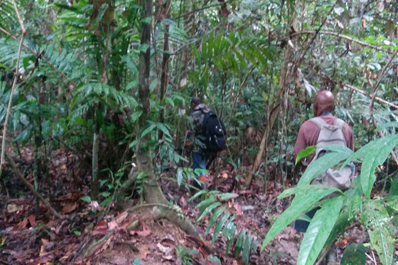 Off trail in Nimbokrang with local guides, Dante and Alex