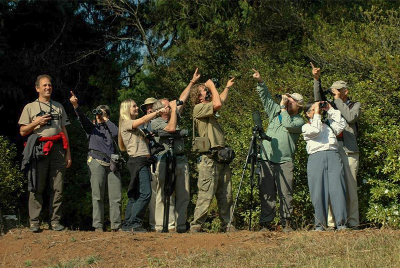 "Where is the bird?" - the group from Crystal's first birding tour