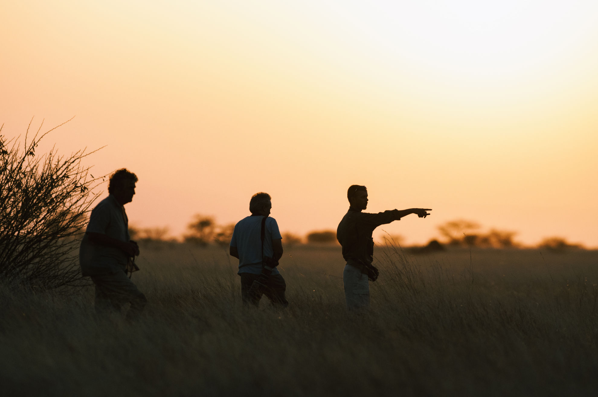 Rockjumper Birding Tours