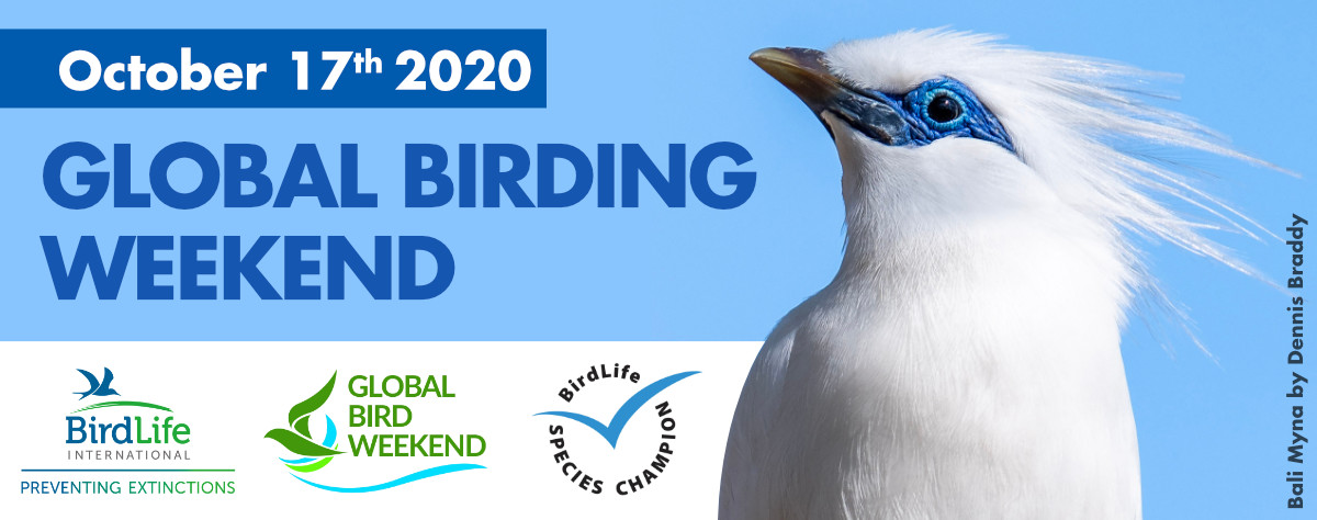 Ervoor gaan – Het Global Bird Weekend