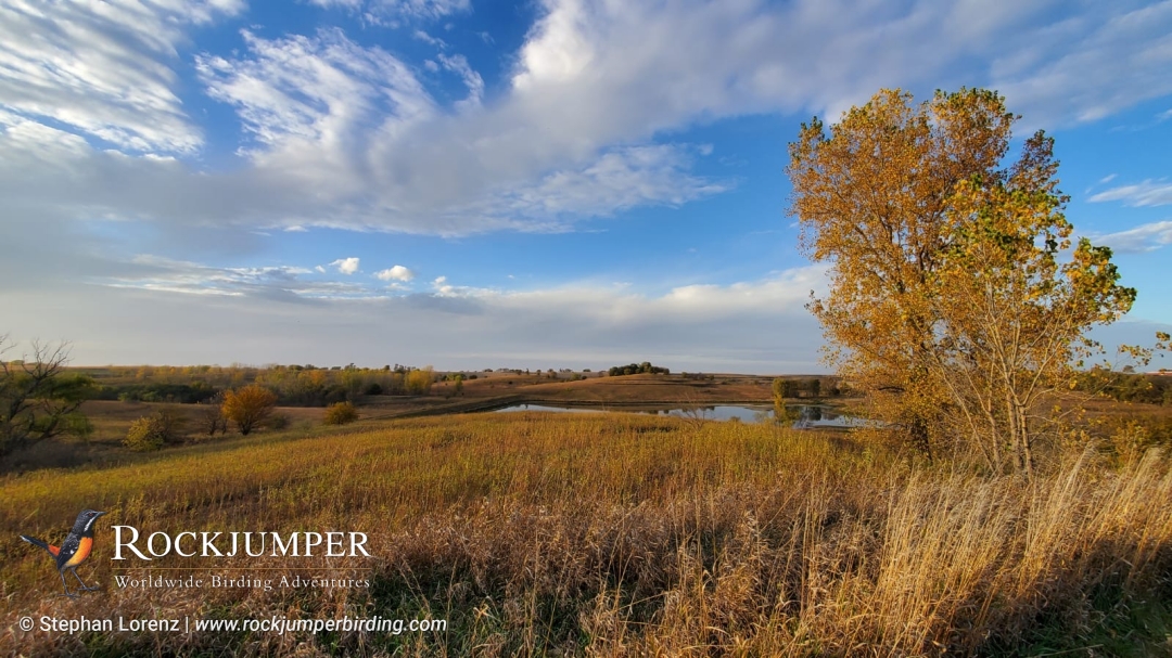 Horizon pittoresque de l&#39;Iowa