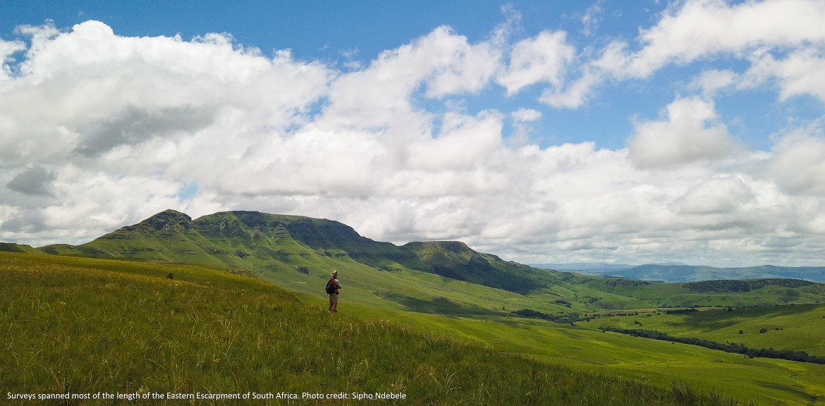 The 2020/21 White-winged Flufftail Expedition: Searching for Africa&#39;s Wetland Wonder