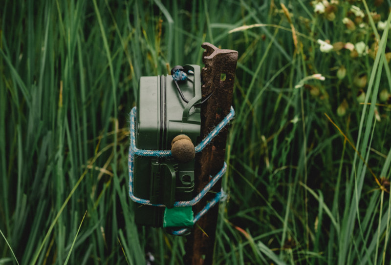 Acoustic devices were used to detect the call of White-winged Flufftails at surveyed wetlands. Male White-winged Flufftails are highly vocal at the start of the breeding season. Photo credit: Sipho Ndebele