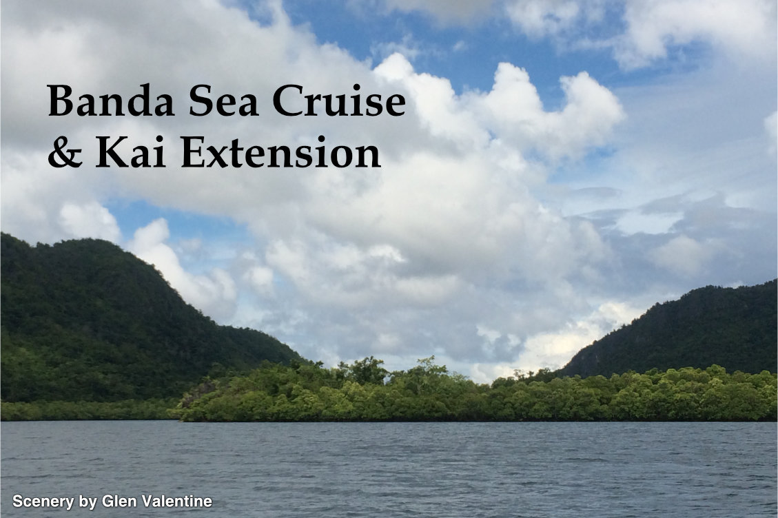 banda sea cruise