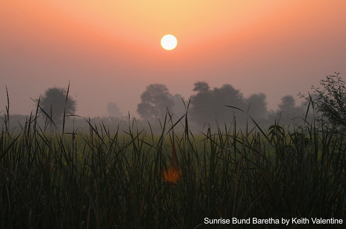 sunrise bund baretha birding tour photography